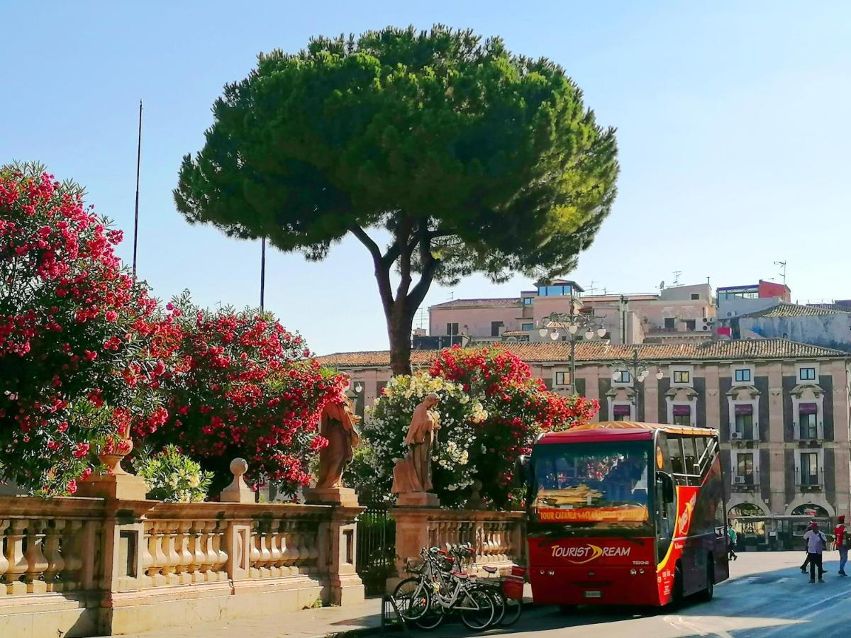 Diletta Oasi Bed & Breakfast Catania Luaran gambar